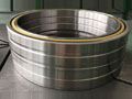 RV differential transmission bearings