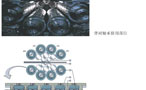 Steel sheet cluster mill back-up bearing